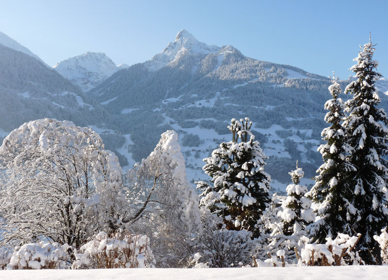 Winterlandschaft